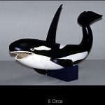 Orca