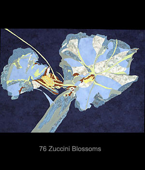 Zuccini Blossoms