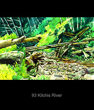 Kilchis River
