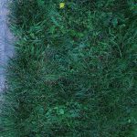 Please Pay Attention Please