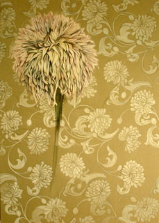 Mary Warner Flower Shower