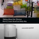 Talking About the Obvious