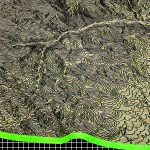 Contemporary Stratigraphy