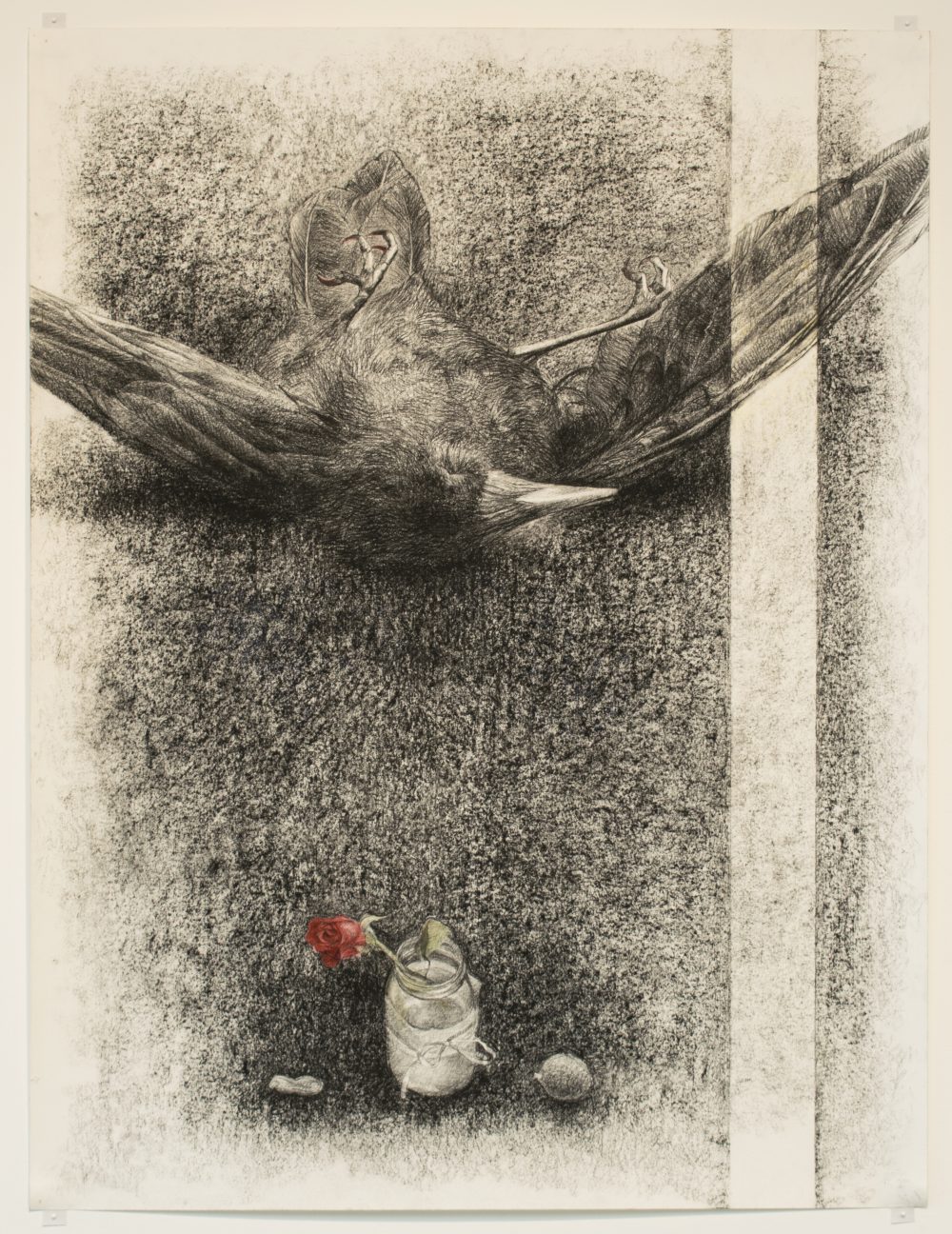Charcoal and pastel drawing of dead bird on its back with a red rose in a jar of water beside it.
