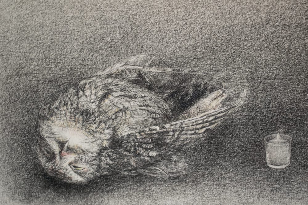 Charcoal and pastel drawing of an owl laying beside a votive candle.