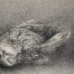 Charcoal and pastel drawing of an owl laying beside a votive candle.