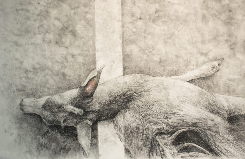 Charcoal and pastel drawing of dead deer laying on street
