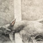 Charcoal and pastel drawing of dead deer laying on street
