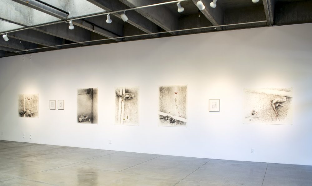 Installation on wall: five large charcoal drawings, with three small framed drawings
