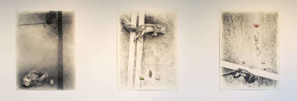 Three charcoal and pastel drawings on paper on wall. On left, an owl on the ground beside a telephone pole; middle a squirrel lies dead on the street; on right, a small cat also laying in the street with a flower hovering above it.