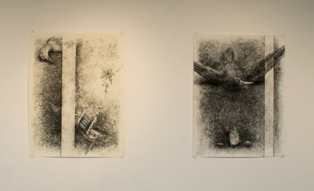 Two large charcoal drawings on wall; on left dead duck lies on street, a grouping of leaves and flowers beside it; on right a drawing of a dead black bird on it's back.