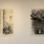 Two large charcoal drawings on wall; on left dead duck lies on street, a grouping of leaves and flowers beside it; on right a drawing of a dead black bird on it's back.