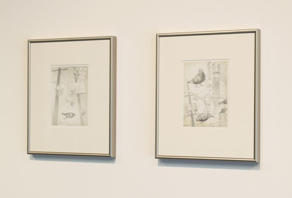 Two framed drawings on wall; both have birds and wires and telephone poles.