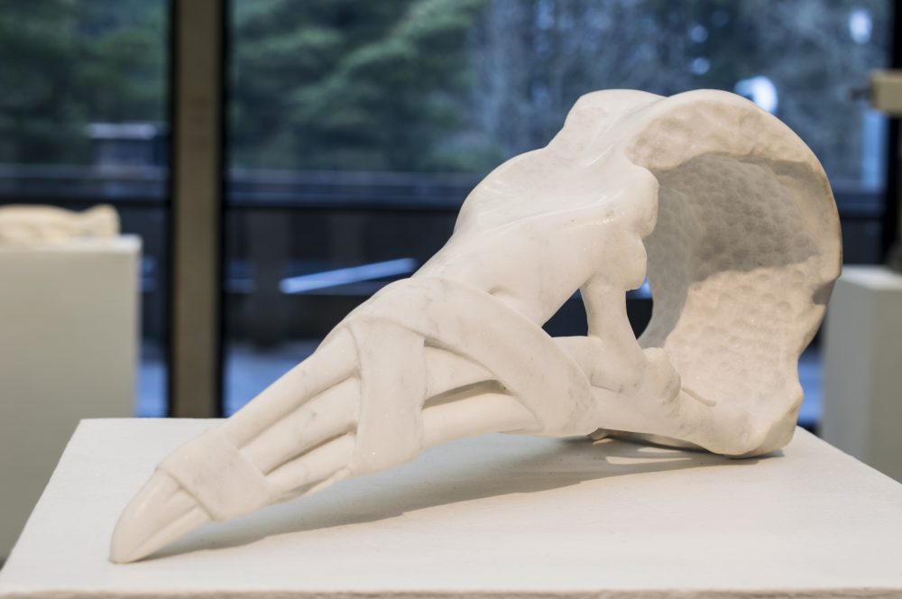 Marble sculpture of peguin skull sitting on a pedestal; in the background are other sculptures and a large window with trees outside.