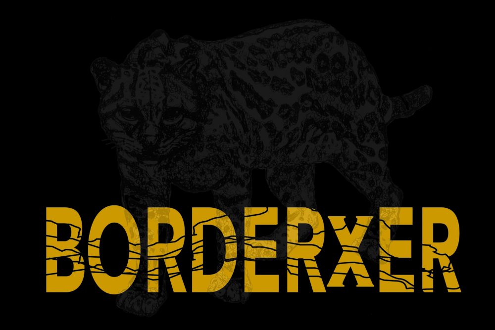 exhibition card image, black with title yellow title, background drawing of spotted cat in values of gray