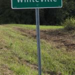 Vertical color photograph of a landscape with green and dry grass in the foreground and trees and dark green shrubs in the background. At the center is a green sign with the word "Whiteville" in white letters; the sign is on a metal pole that is planted in the ground.