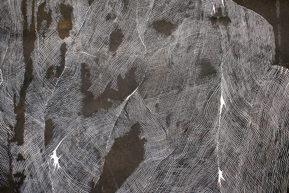 Detail of an ink drawing on tar paper. Slender parallel lines drawn in white ink create abstract grid forms across an uneven surface of black and brown tar paper. The forms are like layers of torn gauze draped beside and on top of each other.