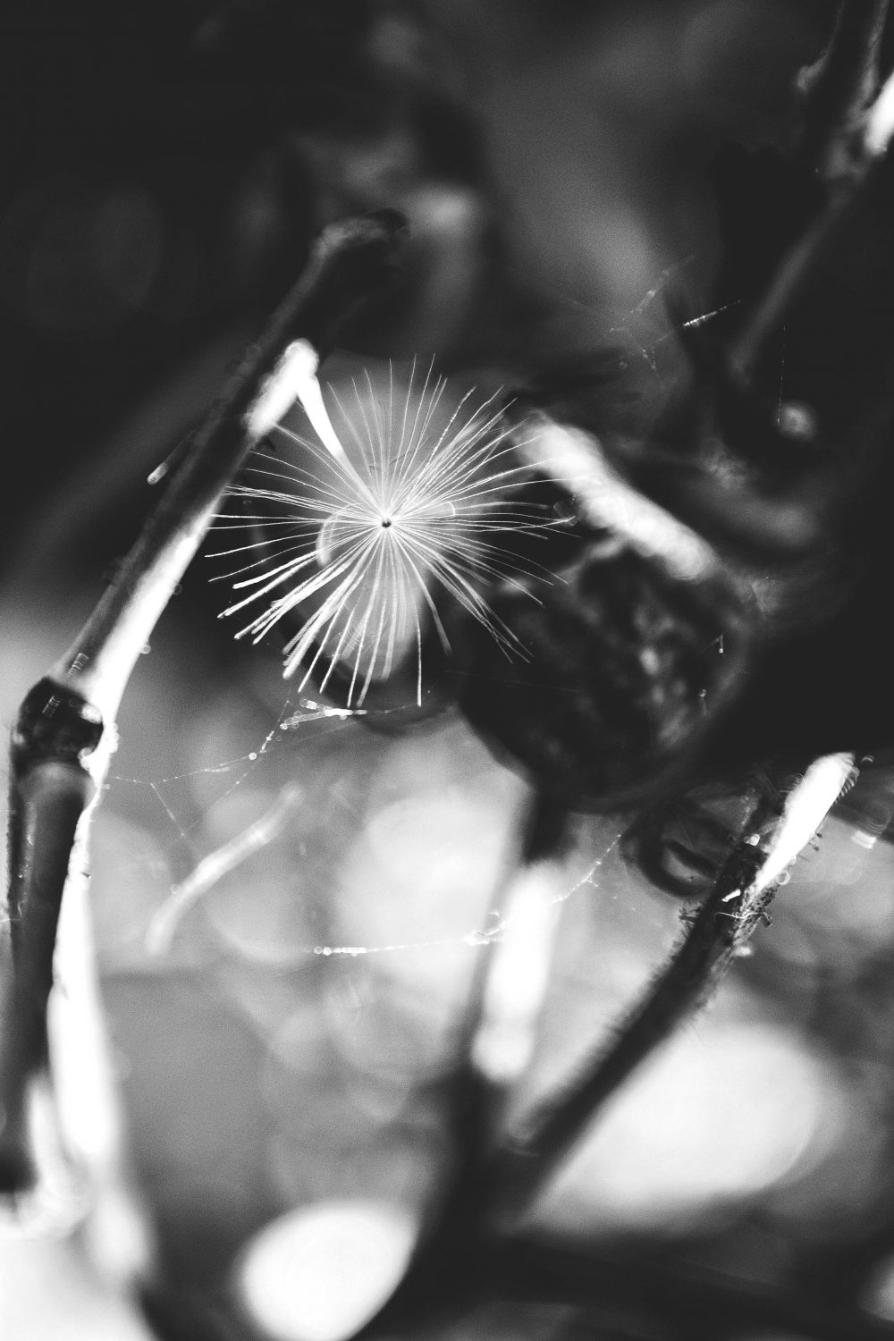 Stephen Church, Lair, 2020, digital photograph