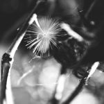 Stephen Church, Lair, 2020, digital photograph