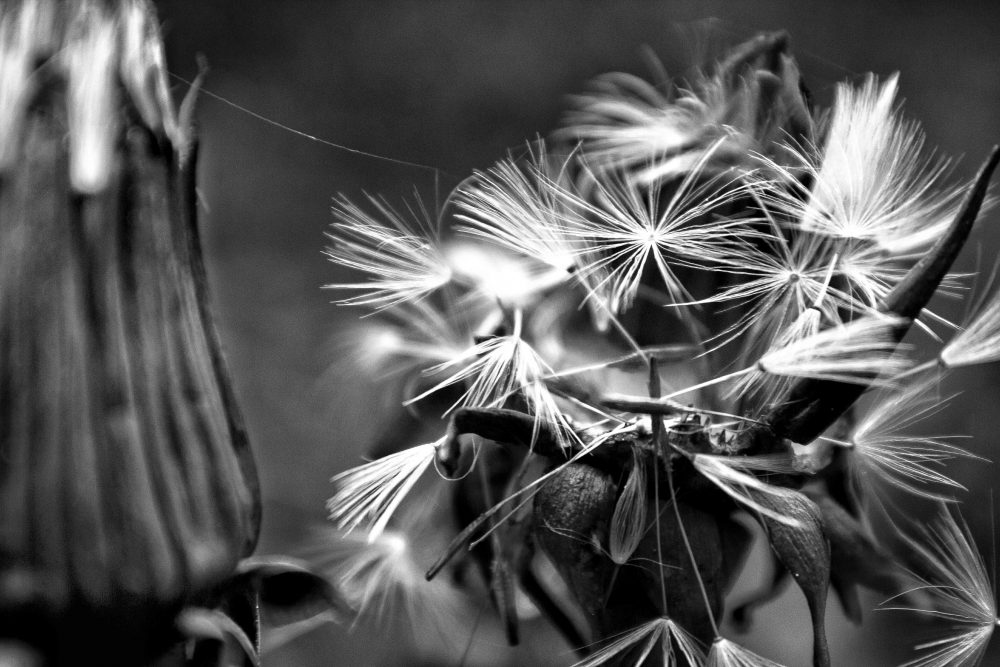 Stephen Church, Two Towers, 2020, digital photograph