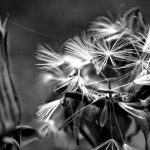 Stephen Church, Two Towers, 2020, digital photograph