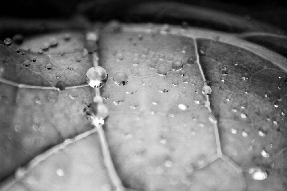 Stephen Church, Rolling Hills, 2020, digital photograph