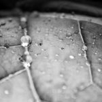 Stephen Church, Rolling Hills, 2020, digital photograph