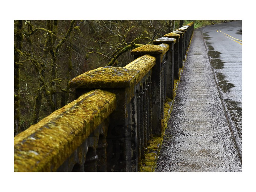 Joey DeSilva, Moss Bridge, 2019, digital photograph