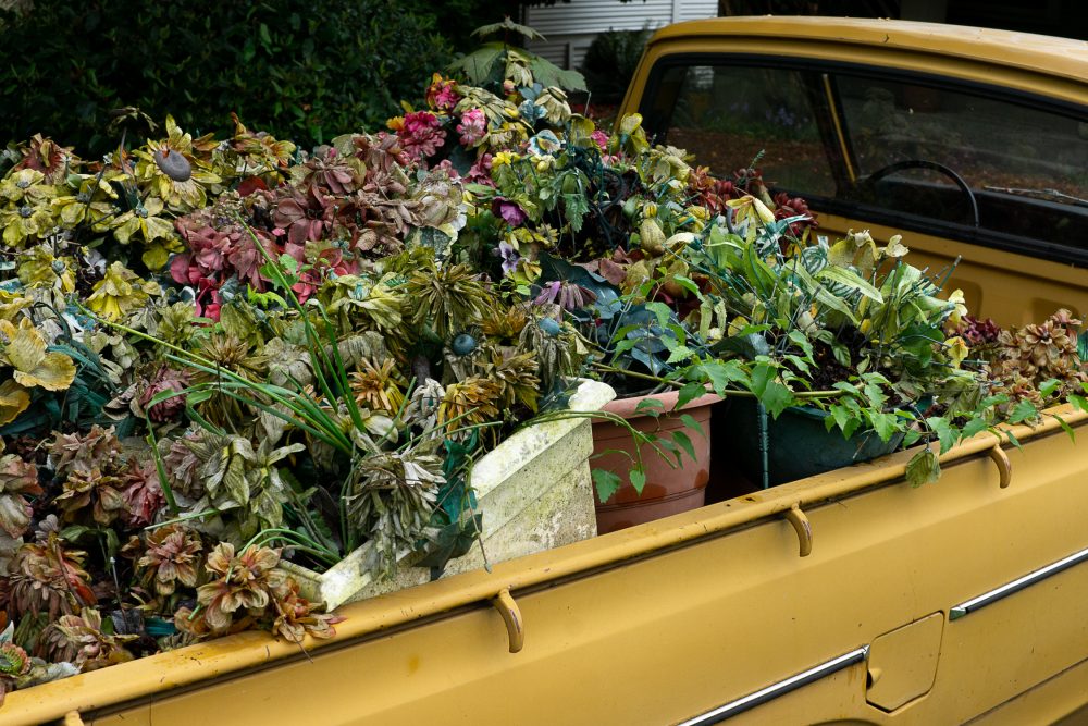 Abe Eddy, Flower Truck, 2020, digital photograph