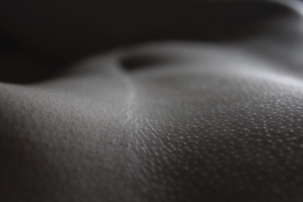 Lindsay Franke, Stomach, 2019, digital photograph