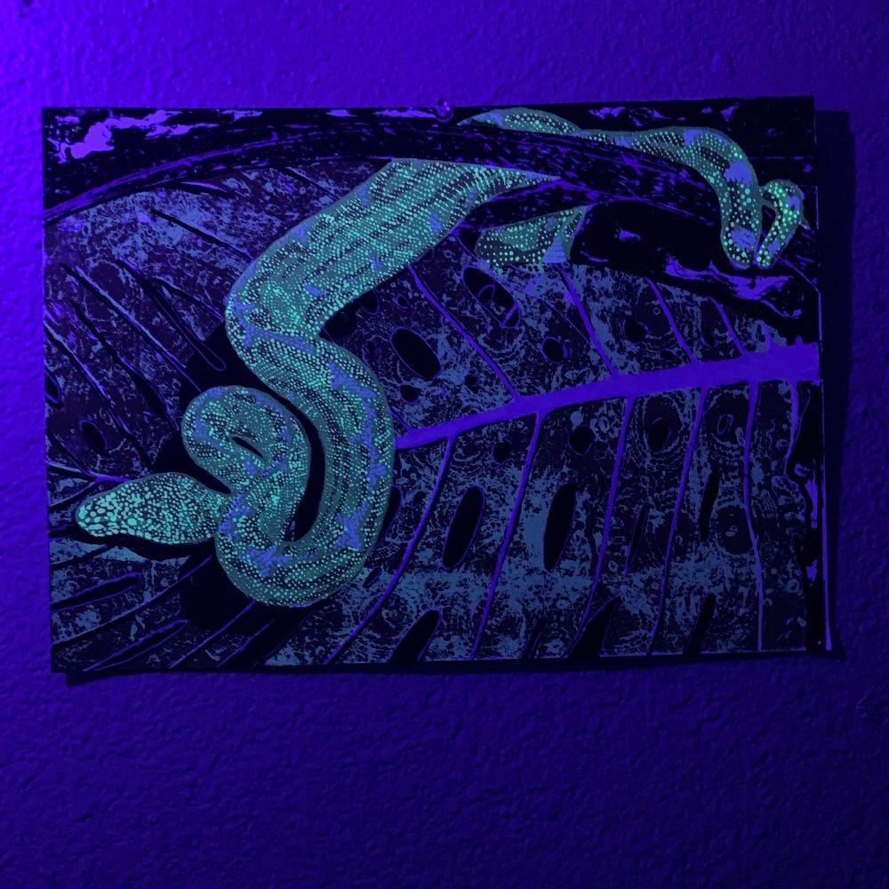 Madeline Guidone, Snakes 2, 2020, screenprint on paper, 11" x 14"
