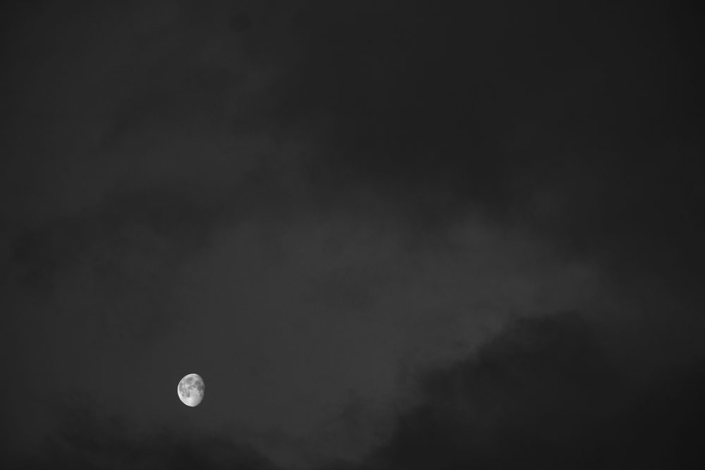 Rachel Pike, Quiet Mornings, 2020, digital photograph