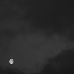 Rachel Pike, Quiet Mornings, 2020, digital photograph