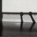 Liz Quezada, Thrall, 2020, digital photograph