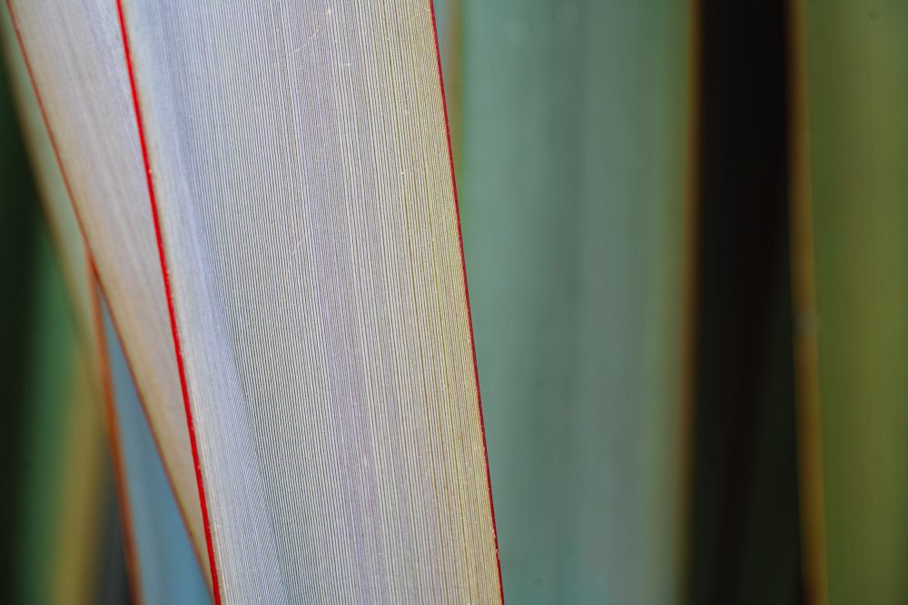 Matt Reed, Lines and Light, 2020, digital photograph