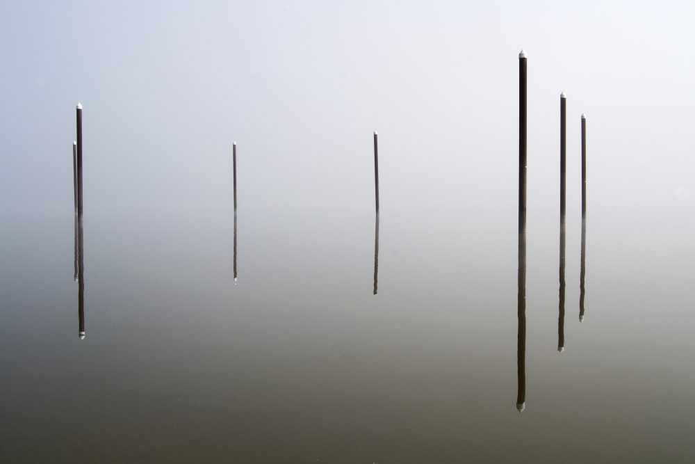 Max Santiago, Reflection, 2020, digital photograph