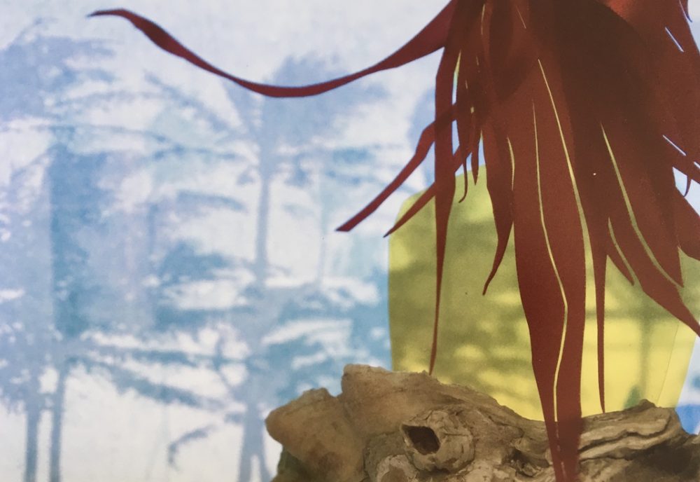 Tyler Hohnstein, Girl Goes to Sea #3, 2012, photograph, 8 1/2" x 11"