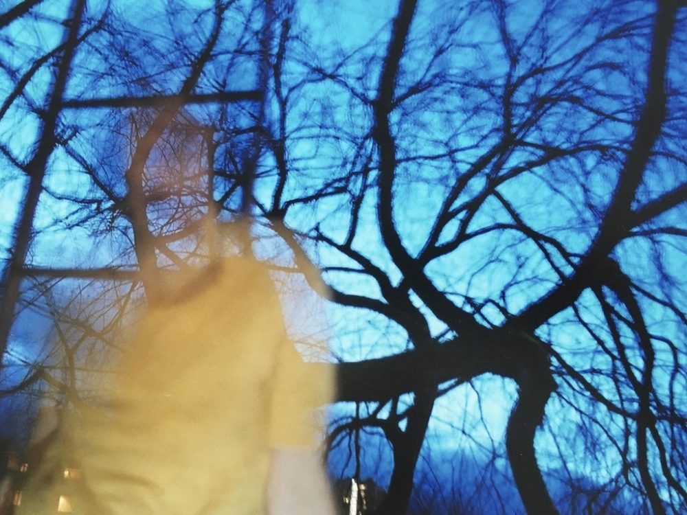 Tyler Hohnstein, Blue Trees, 2005, photograph, 8" x 10"