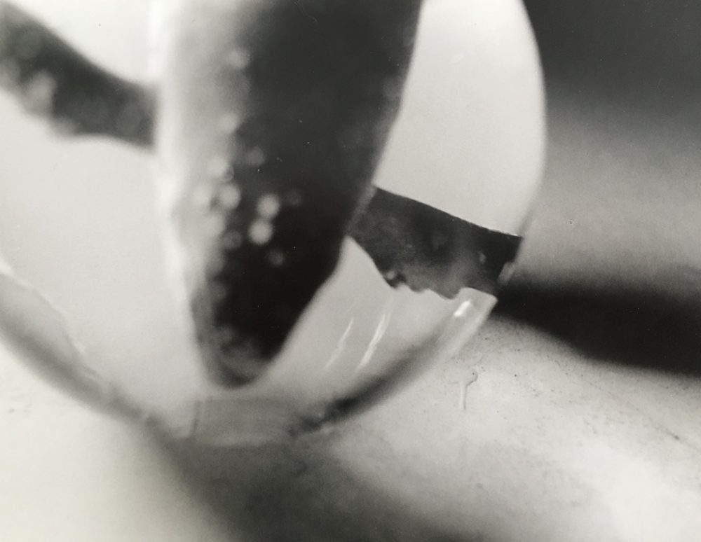 Tyler Hohnstein, The Whale in the Bubble, 2005, photograph, 8" x 10"