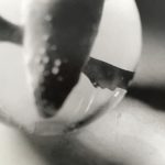 Tyler Hohnstein, The Whale in the Bubble, 2005, photograph, 8" x 10"