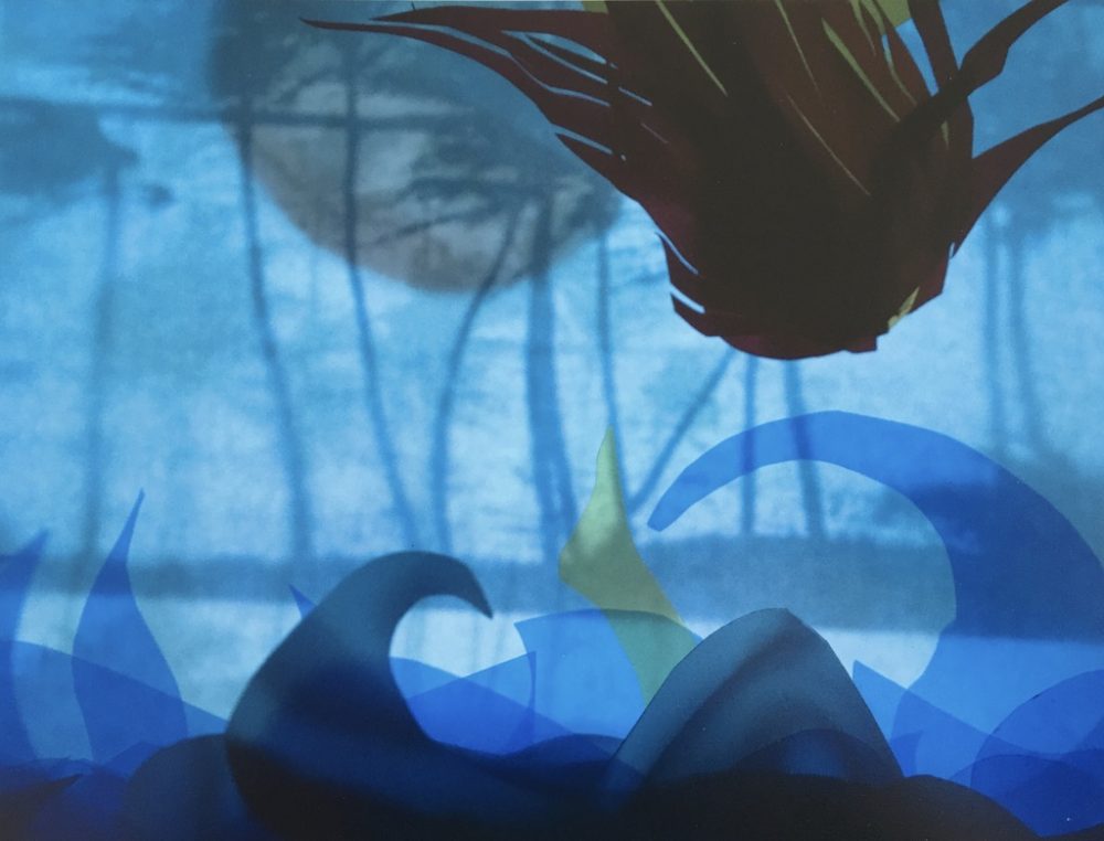 Tyler Hohnstein, Girl Goes to Sea #5, 2012, photograph, 8 1/2" x 11"