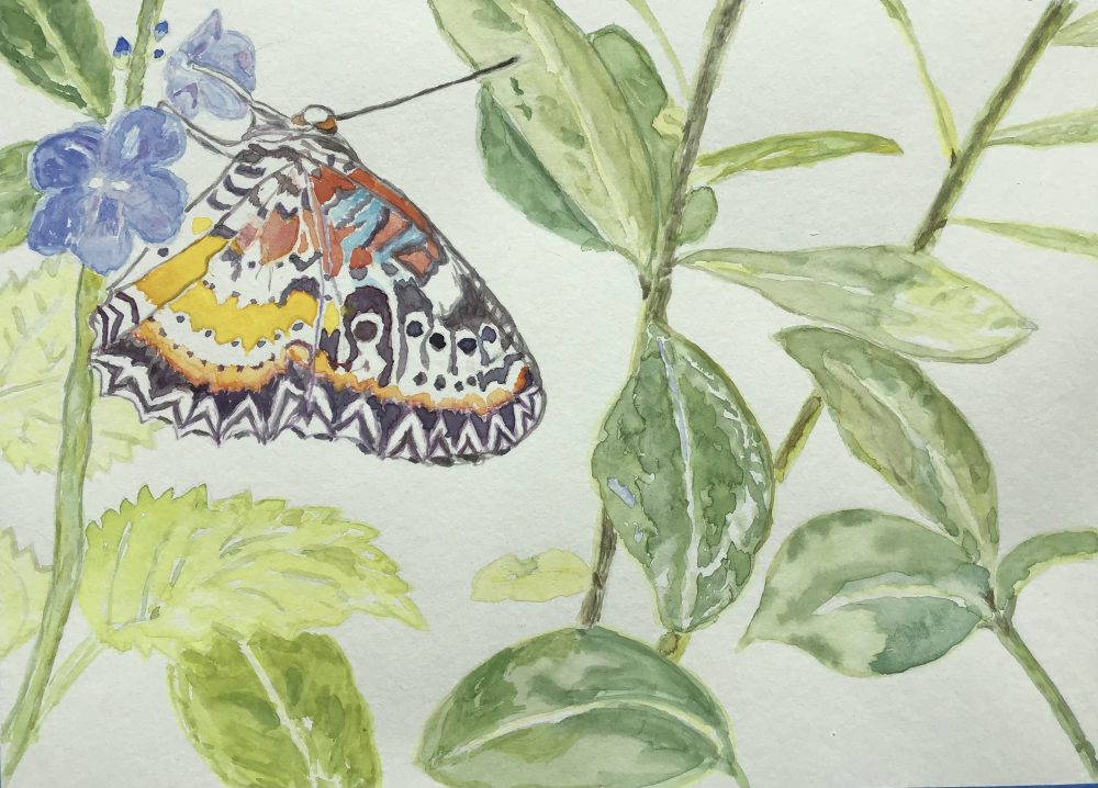 A brightly colored butterfly is perched on a stem with a small blue flower. There are a few stems with green leaves to the right.