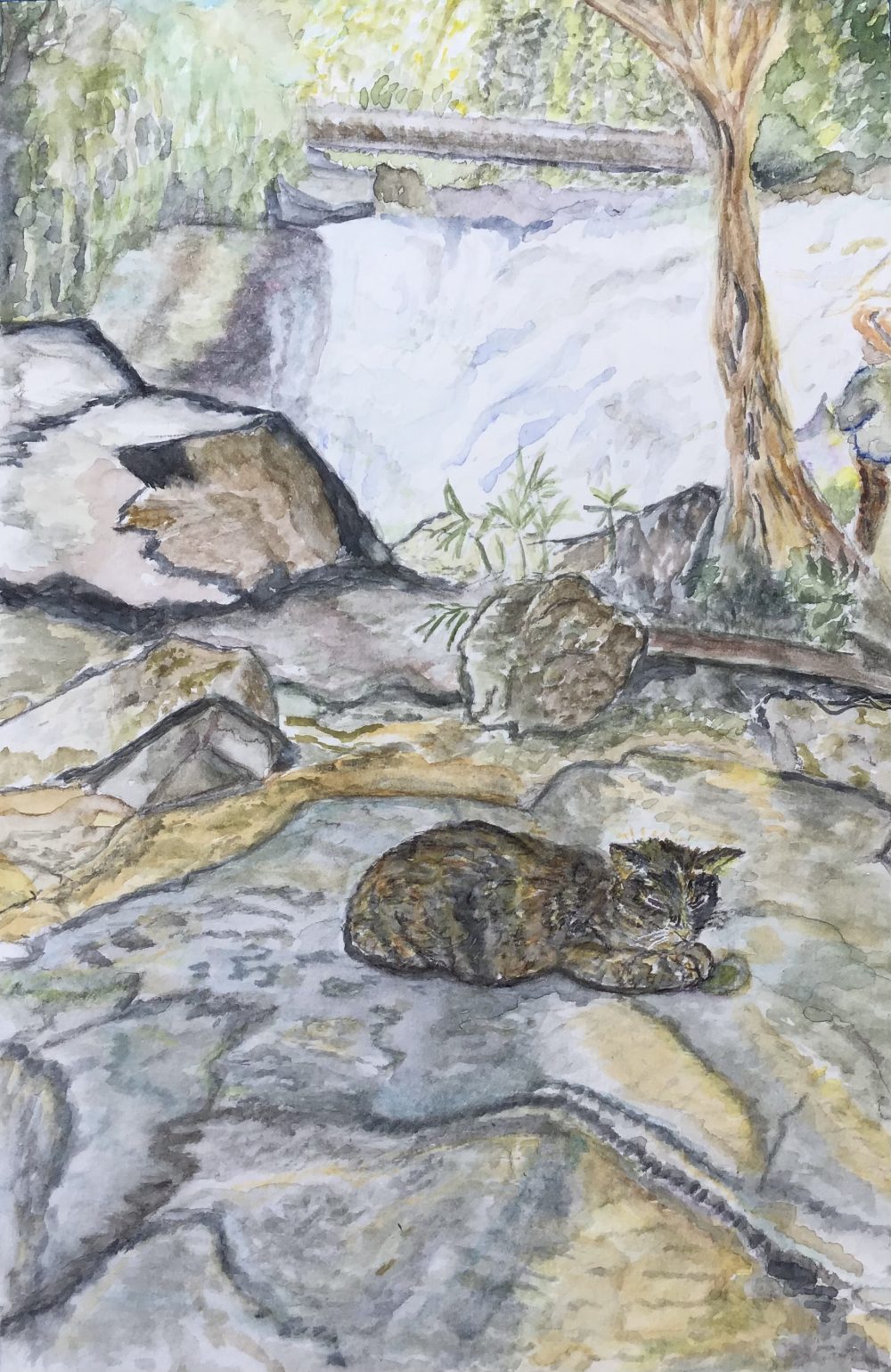 In the foreground a cat is sleeping in it he sun on a granite rock. In the background is a waterfall.