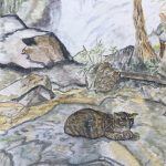 In the foreground a cat is sleeping in it he sun on a granite rock. In the background is a waterfall.