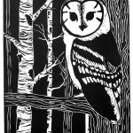 A black in white print of a barn owl sitting on a tree in the foreground, birch and unspecified trees placed throughout the background decreasing in detail.
