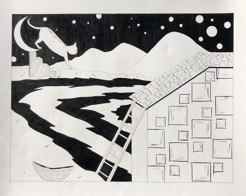 House on the right with a latter leaning of the it. A boat next to latter on left in the water. A cat walking over the stairs from the moon onto the valley. Black sky with cirlce stars in the background.