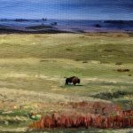 This is a buffalo standing alone in an empty field.