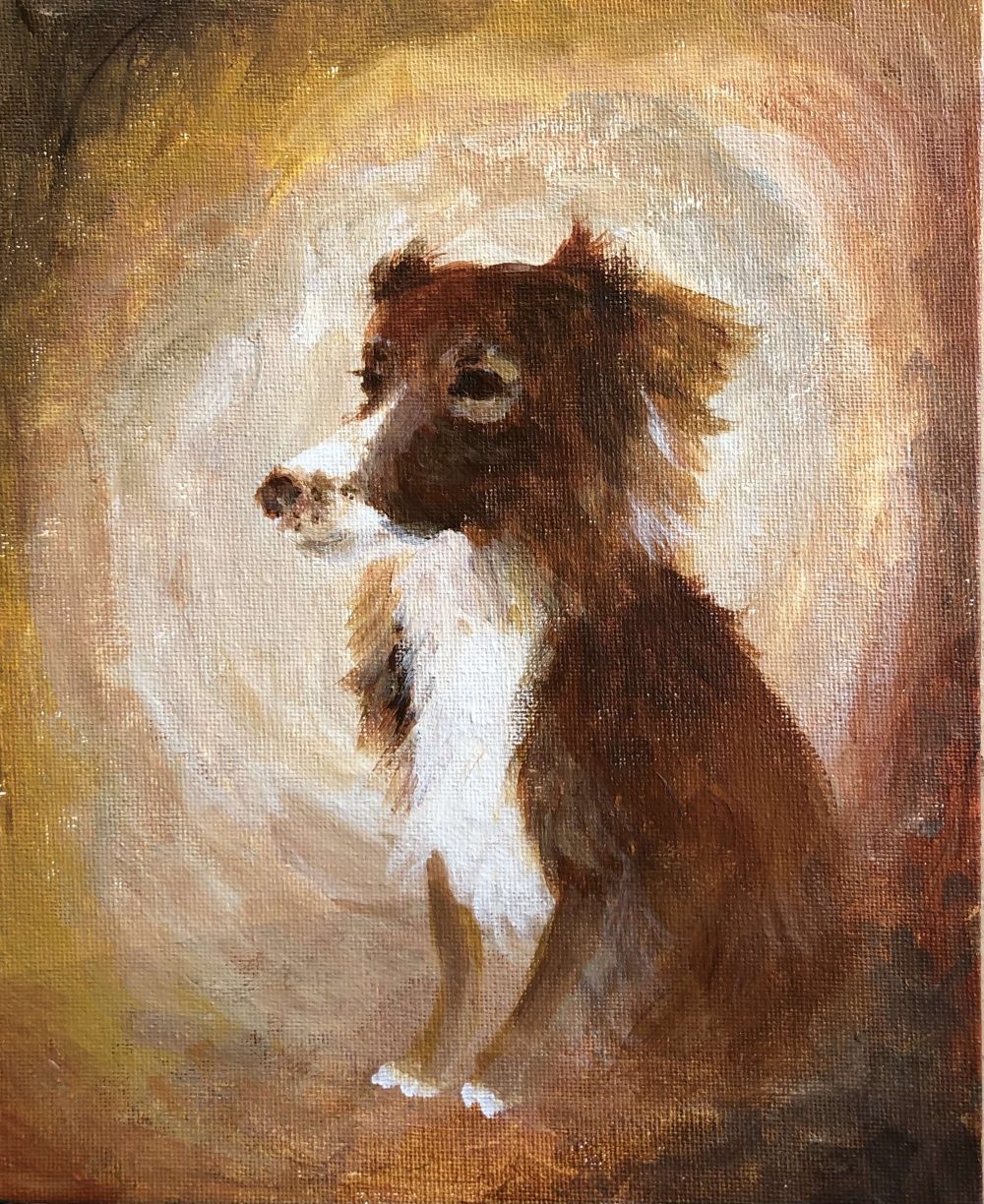 Portrait of a brown dog with a white chest.