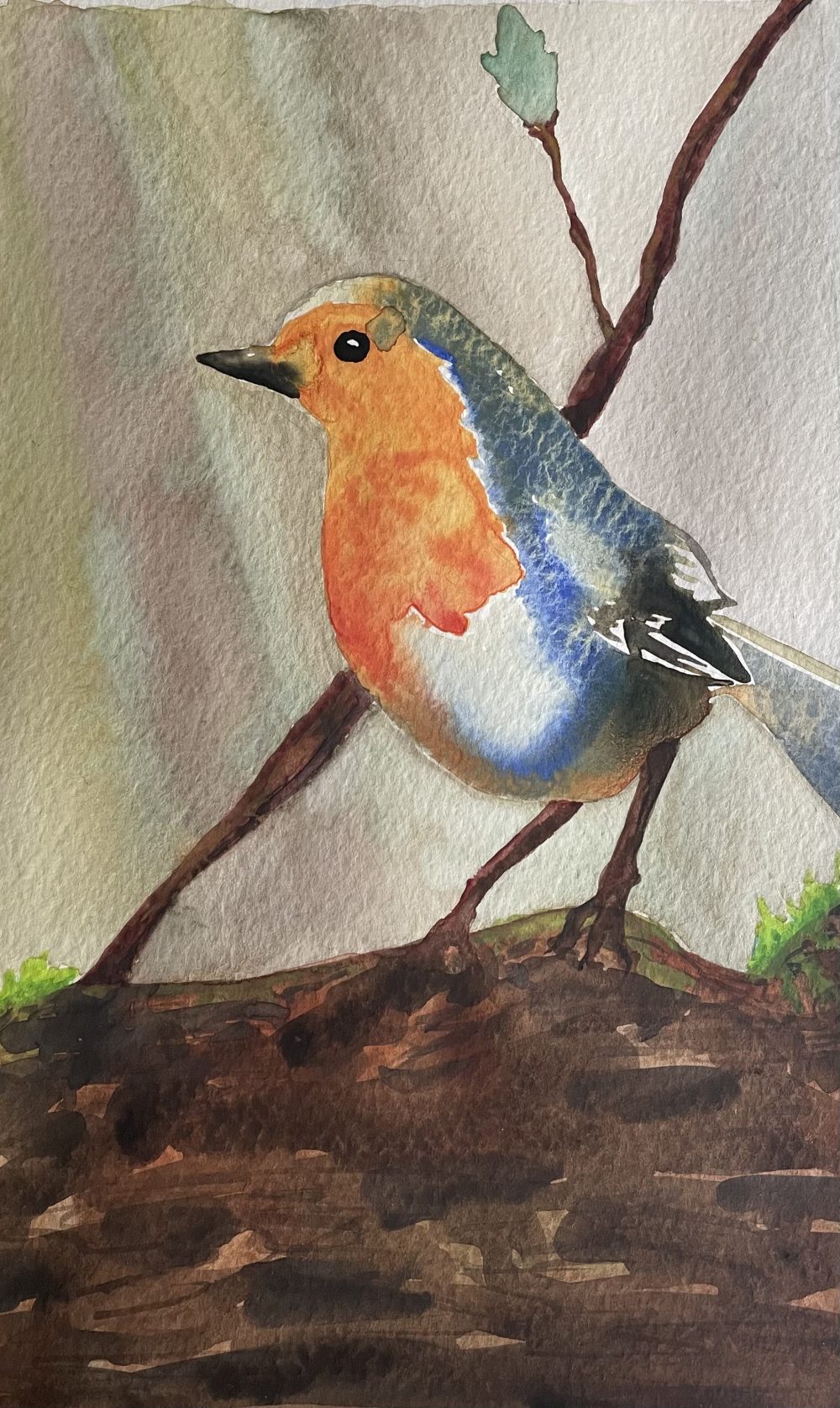 This is an image of a small blue and orange bird on a log with a twig and bud sticking out on a green and light brown washed background.