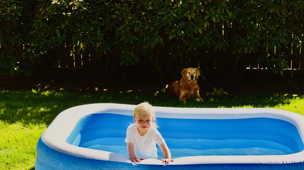 A photo of a girl and her dog.